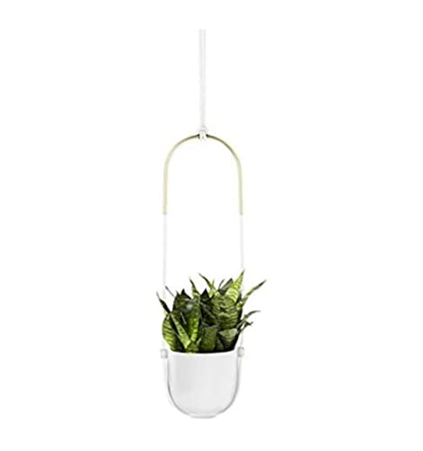 Umbra Bolo Hanging Planter, for Succulents, Herbs and Other Small Plants, Single, White/Brass