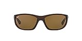 Ray-Ban RB4188 Wrap unisex-adult Sunglasses, Shiny Brown, 63 mm