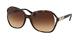 Coach HC8145-512013 Sunglasses 59mm