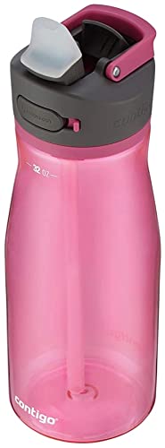 Contigo Ashland 2.0, 32oz., Water Bottle with AUTOSPOUT Lid, Dragon Fruit