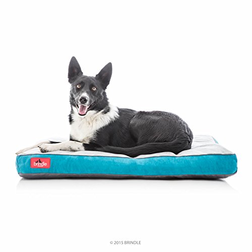 BRINDLE Teal Shredded Memory Foam Pet Bed - Pet Essentials - Orthopedic Design - Pet Crate Compatible - Machine Washable Cover - Indoor Pet Bed for Dogs, Puppies, Cats, and Rabbits - Size Medium