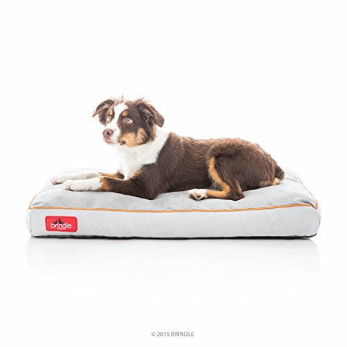 BRINDLE Stone Shredded Memory Foam Pet Bed - Pet Essentials - Orthopedic Design - Pet Crate Compatible - Machine Washable Cover - Indoor Pet Bed for Dogs, Puppies, Cats, and Rabbits - Size Medium