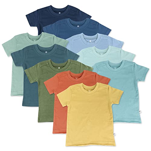 HonestBaby Multipack Short Sleeve T-Shirt Tee 100% Organic Cotton Infant Baby, Toddler, Little Kids Boys, Girls, Unisex, 10-Pack RaiNewbornow Gems Blues, 6Y