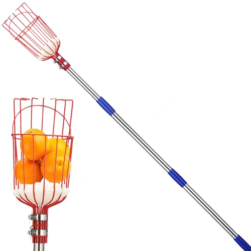 Fruit Picker Pole with Basket - Apple Picker Long Handle Telescoping, 5.5 FT Stainless Steel Fruit Picking Pole Extendable Fruit Catcher Tool for Avocado, Apricot, Pear, Orange, Mango Trees Picking