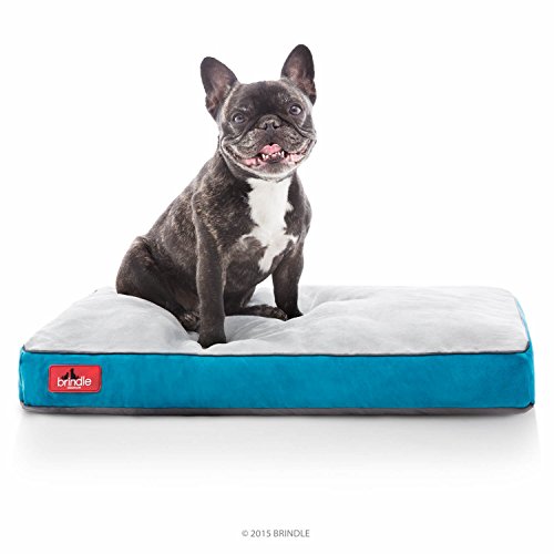 BRINDLE Teal Shredded Memory Foam Pet Bed - Pet Essentials - Orthopedic Design - Pet Crate Compatible - Machine Washable Cover - Indoor Pet Bed for Dogs, Puppies, Cats, and Rabbits - Size Small