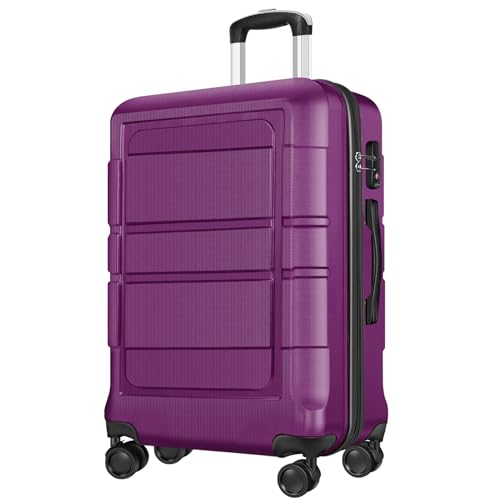 Axidou Carry On Luggage 22x14x9 Airline Approved, Suitcase with Spinner Wheels (20 Inch, Purple)