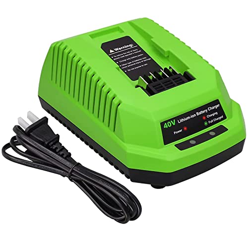 OHYES BAT Replacement for Greenworks 40V Lithium Ion Battery Charger