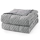 Mr. Sandman Weighted Blanket for Adults Queen, Minky Dots Heavy Blanket for Woman,Man Sleeping/Calm, Soft, Cozy and Cooling Weighted Throw Blankets, Machine Washable, 60 x 80in, 15 Pounds, Grey