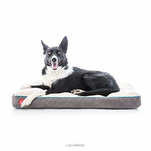 BRINDLE Khaki Shredded Memory Foam Pet Bed - Pet Essentials - Orthopedic Design - Pet Crate Compatible - Machine Washable Cover - Indoor Pet Bed for Dogs, Puppies, Cats, and Rabbits - Size Medium