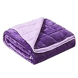 Satwip Weighted Blanket 10 Pounds Purple Fuzzy Warm Flannel Bed Blanket for Adults with Soft Breathable Sanded, 48 x 72 inches, Purple