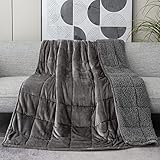 Kaisa Weighted Blanket for Adults 15 pounds Queen Size, Sherpa Fleece Weighted Blankets Fuzzy Heavy Blankets, Flannel Sofa Gravity Blankets, Idea Gifts for Families Friends, 60x80 Inches, Gray