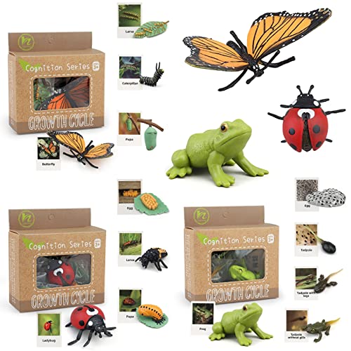 Montessori Life Cycle Learning & Education Toys, Plastic Insect Ladybug Monarch Butterfly Tadpole to Frog Kit Life Cycle Toys for Kids, Preschool Learning Activities for Toddlers