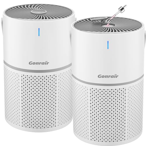 2Pack Air Purifiers for Bedroom 5 Layers H13 HEPA Air Filter with Aroma Air Purifiers for Home Pets,Desktop,Kitchen,Filter 99.99% Smoke,Pollen, Pet Dander,Dust,Ozone Free,Available for California