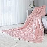 ALANSMA Reversible Weighted Blanket for All Season, Luxury Velvet, Warm and Cool, Adult Kids 5Lb Weighted Blanket, Enjoy Sleeping Anywhere(Pink,36'x48' 5lbs)