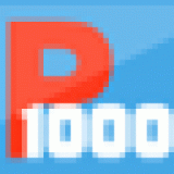 100 ש”ח הנחה בקניה בP1000