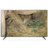 טלוויזיה 43″ TCL L43P65US 4K רק ב999 ש”ח ומשלוח חינם!