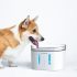 מיכל מים אוטומטי חכם לכלב/חתול מבית שיאומי למים זורמים עם סינון + אפליקציה וWIFI – רק ב$48.99