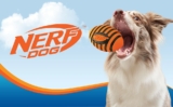 NERF DOG! פנקו את החבר/ה הכי טובים שלכם עם צעצועים מיוחדים לכלבים – עם אקסטרה 10% הנחה לחברי זוזו דילס!