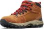 נעלי טיולים Columbia Newton Ridge Plus Ii לגברים  במגוון צבעים ומידות החל מ$49.04 ומשלוח חינם!
