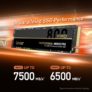 כונן Lexar Professional NM800 PRO SSD 1TB מהיר במיוחד (עד 7500MB/s!) רק ב₪253!